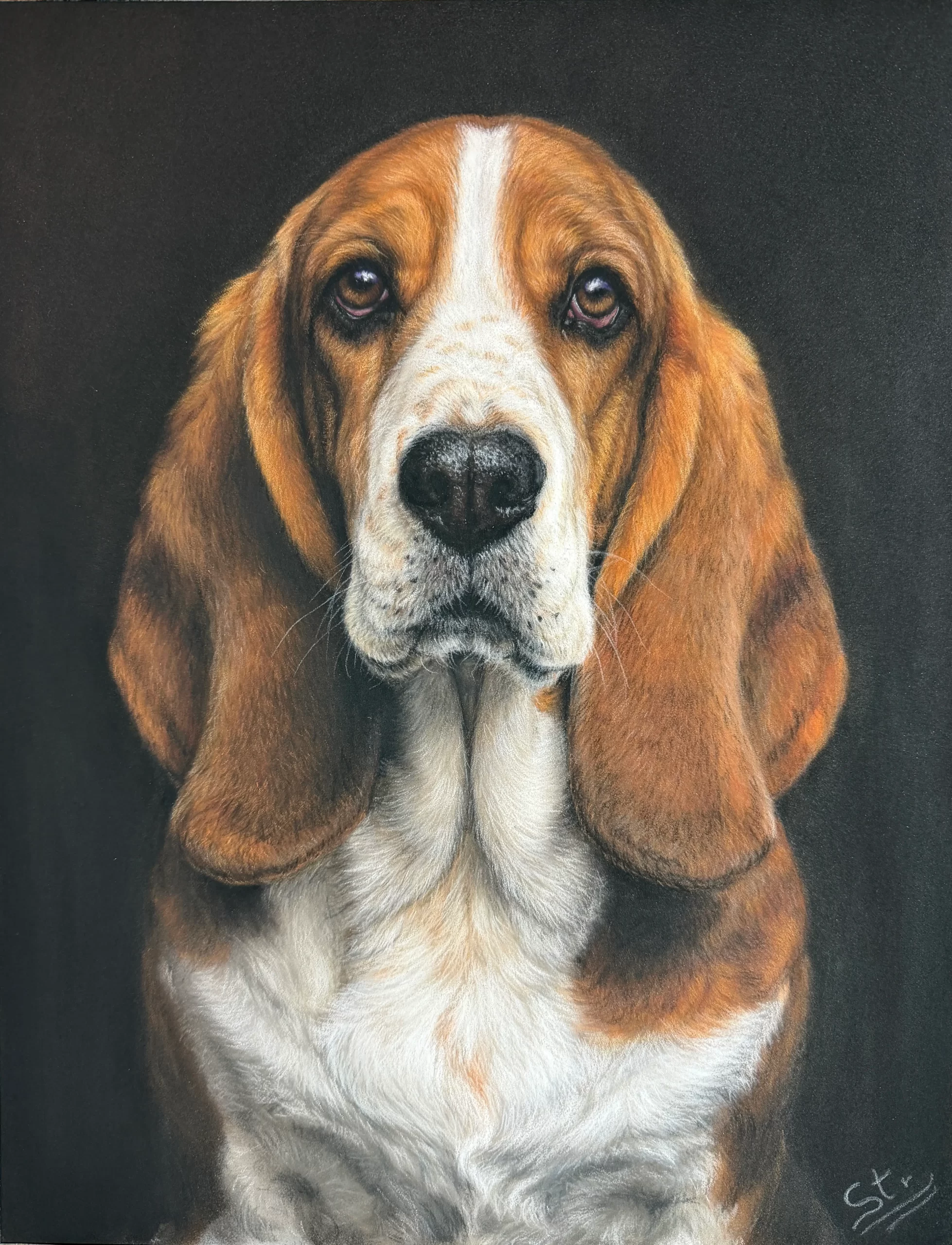 Basset Hound pintado al pastel.