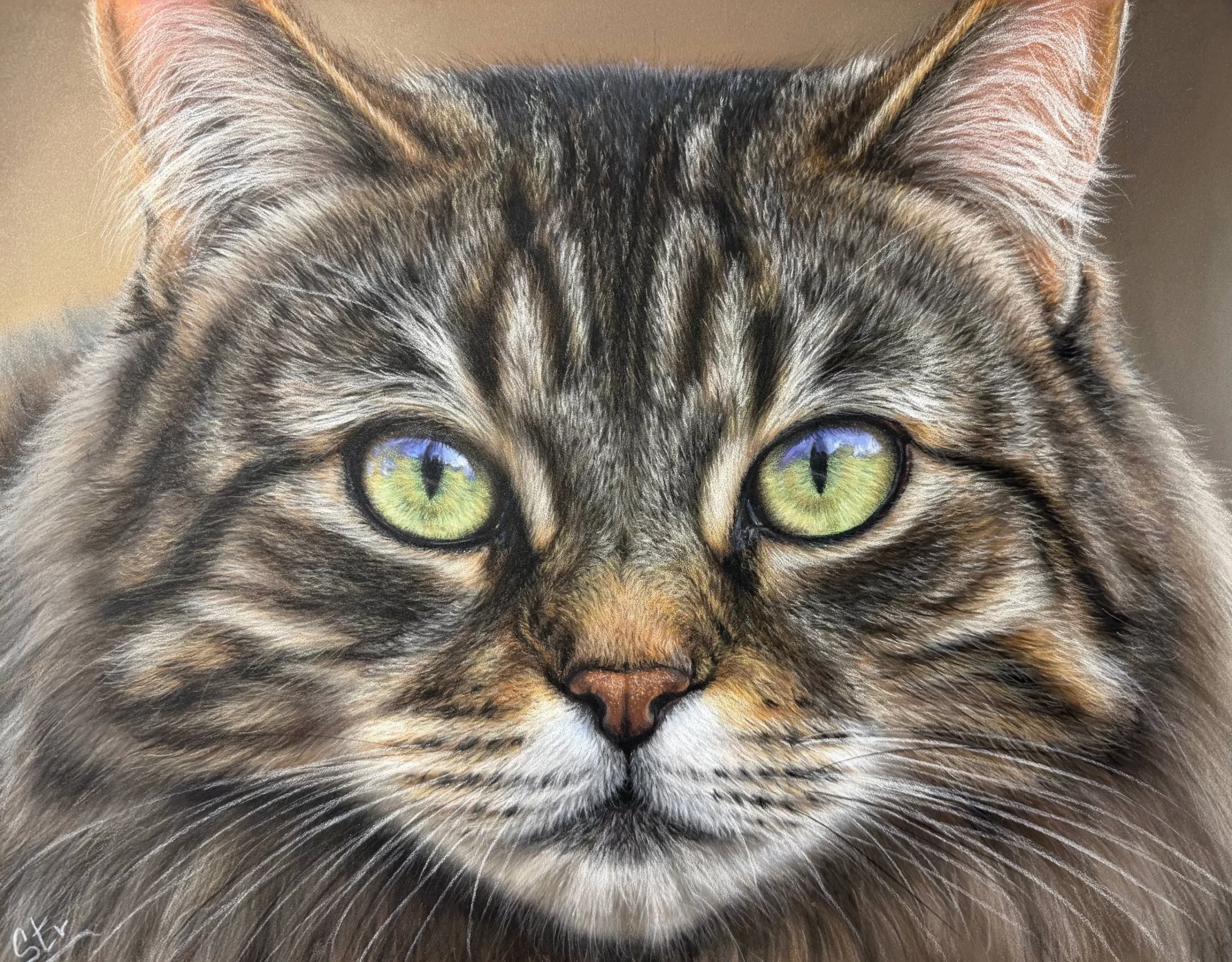 Retrato realista de gato atigrado de ojos verdes realizado por Esther Fuertes