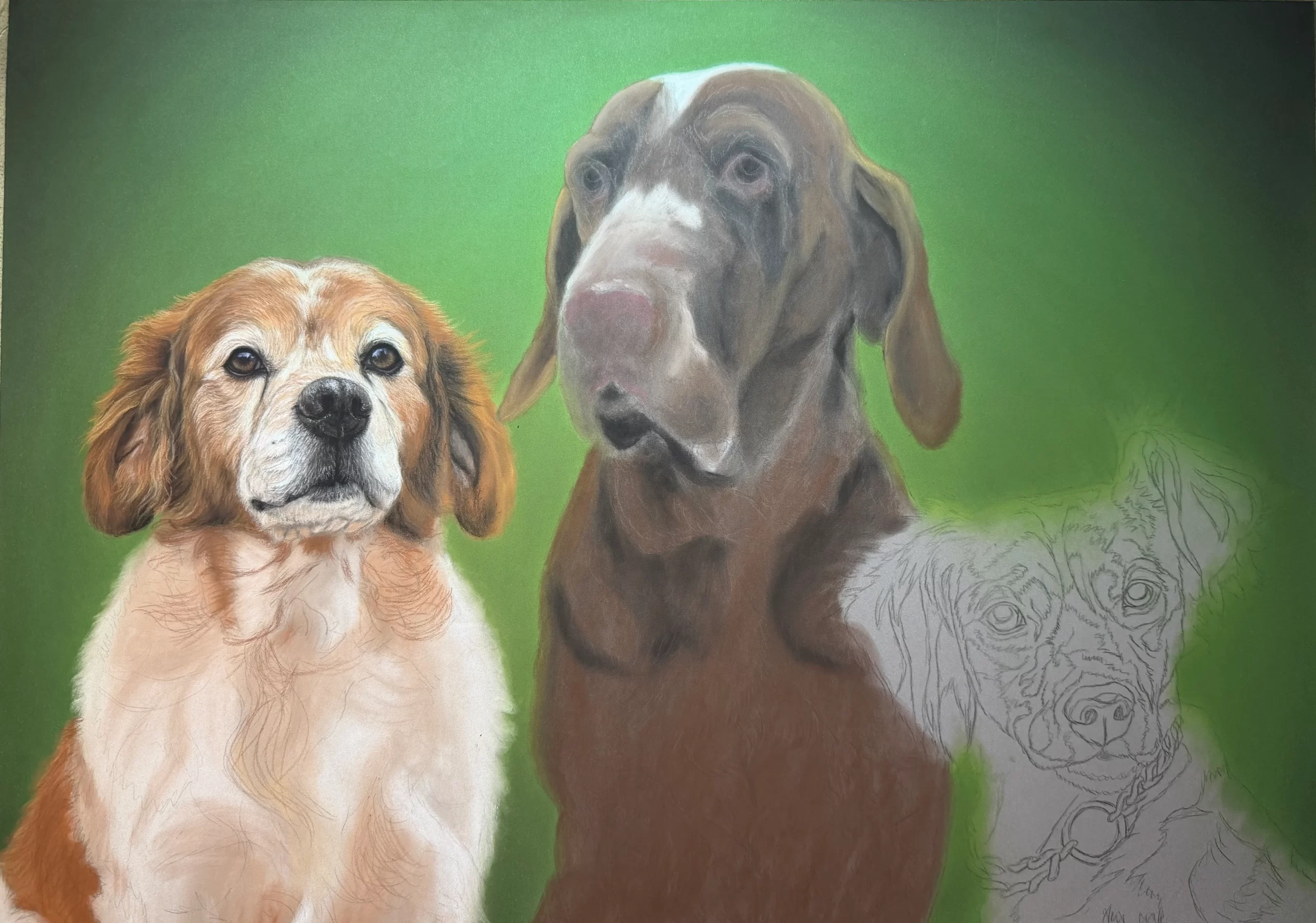Inicio del proceso de retrato de mascotas por Esther Fuertes