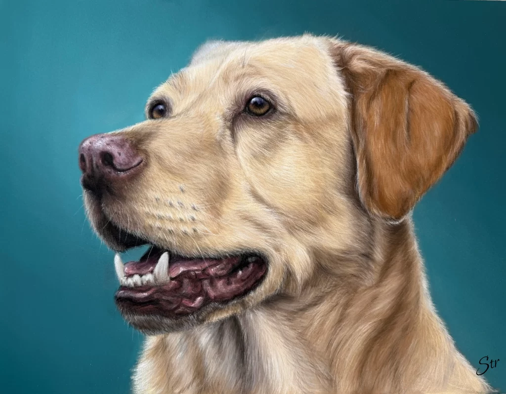 Retrato de Labrador realizado por Esther Fuertes